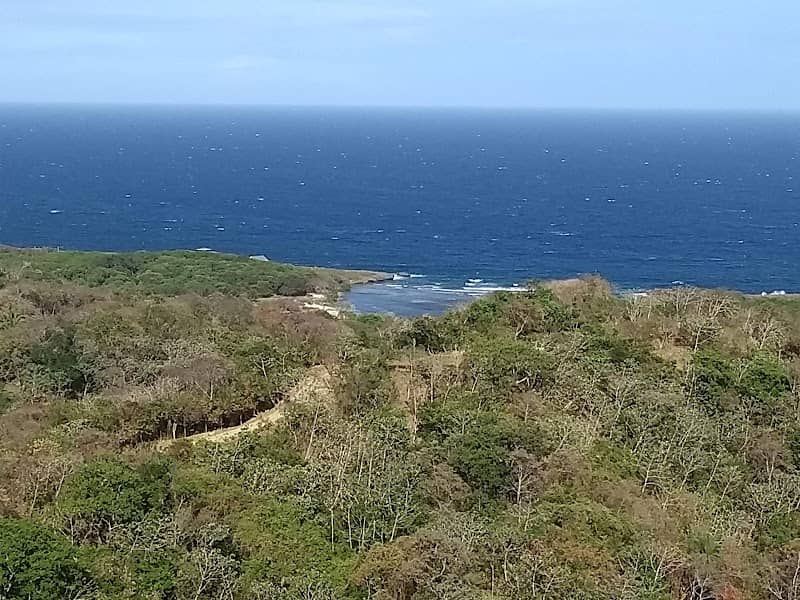 The Lighthouse - Image 1