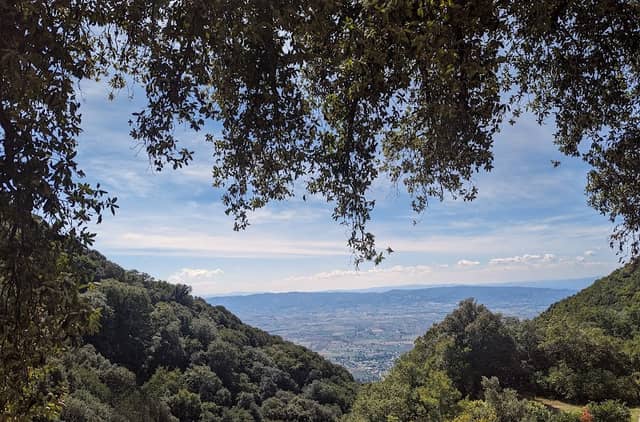 Monte Subasio - Image 3