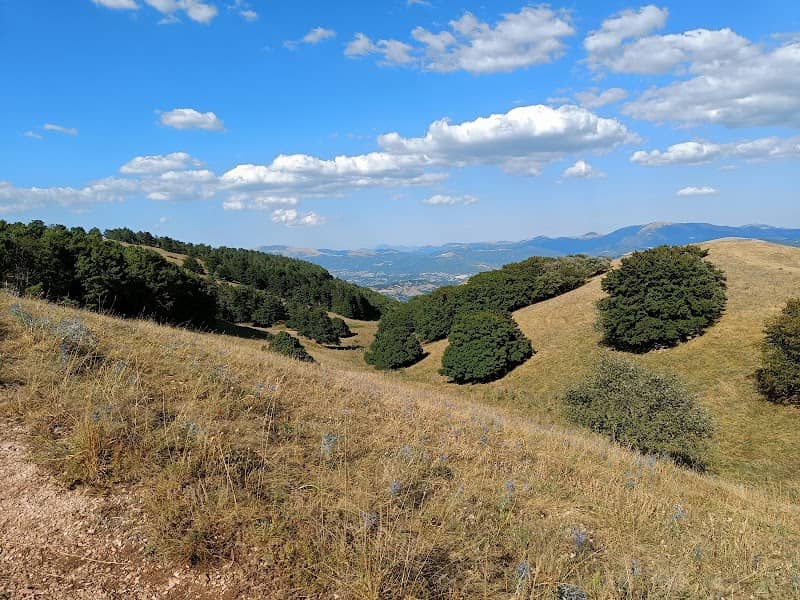 Monte Subasio - Image 2