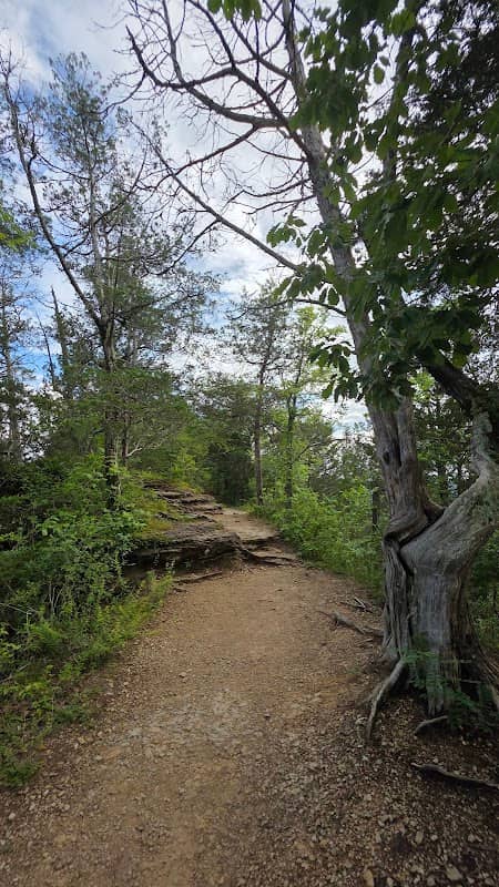 Bluff trail viewpoint - Image 2
