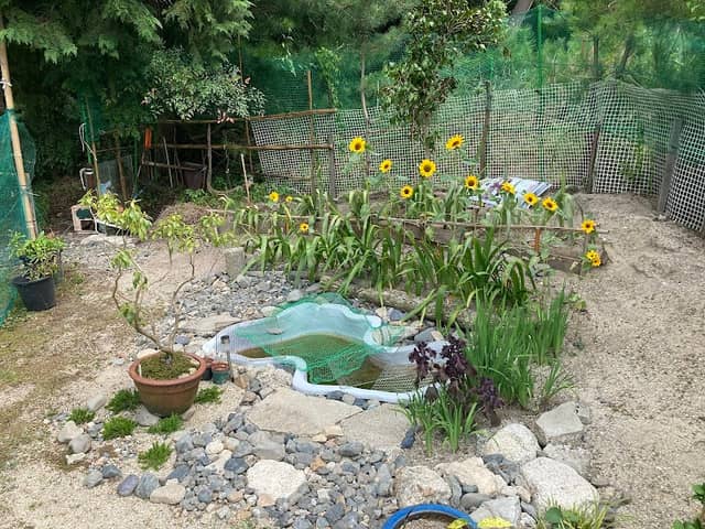 TRAIL OASIS - Image 1