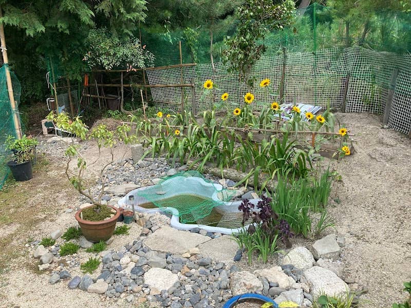 TRAIL OASIS - Image 1