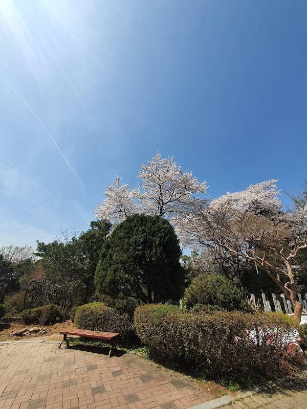 Yeoksam Park - Image 2