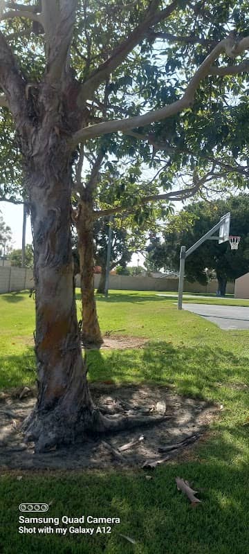 Westminster Village Park - Image 1