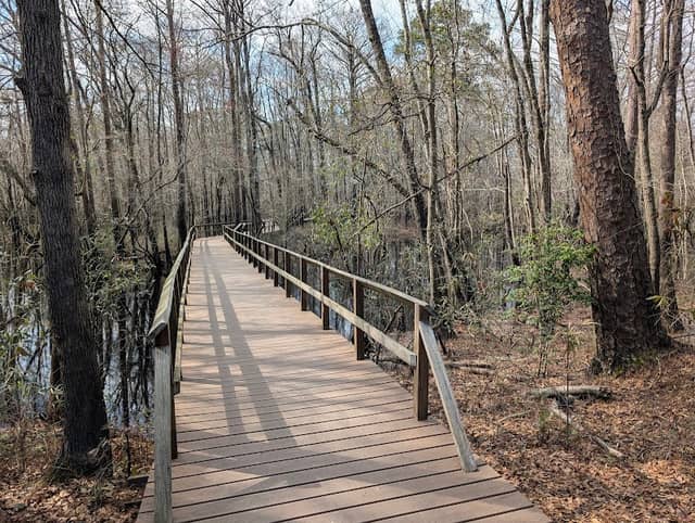 Moores Creek National Battlefield - Image 2