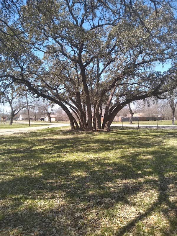 Live Oak Park - Image 2