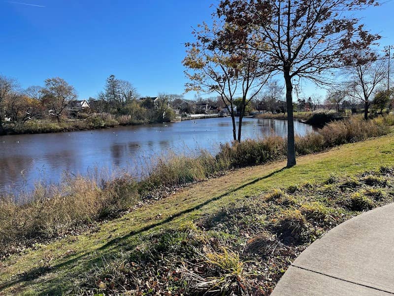 Mill River Complex Park - Image 4