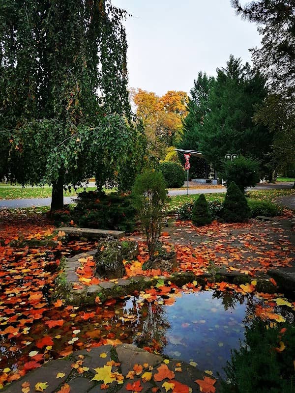 Park - Image 2