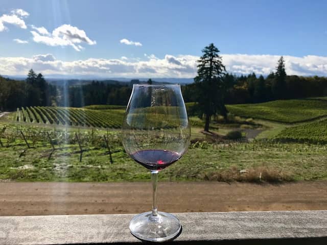 Alexana Winery - Image 2