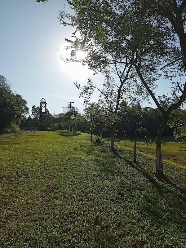 CTG Tropeiro Velho - Image 1