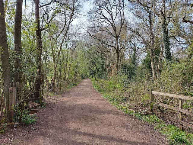 Smestow Valley Local Nature Reserve - Image 2