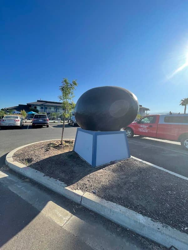 Worlds Largest Olive - Image 1