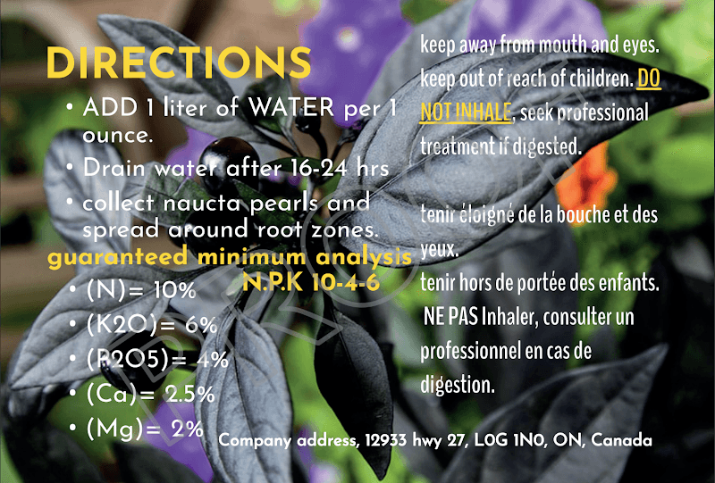 Naucta Pearls - Image 1
