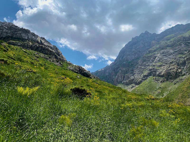 سەر ڕیشەکان - Image 1