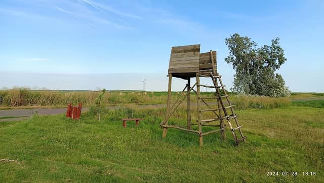 Vadászles - Image 1