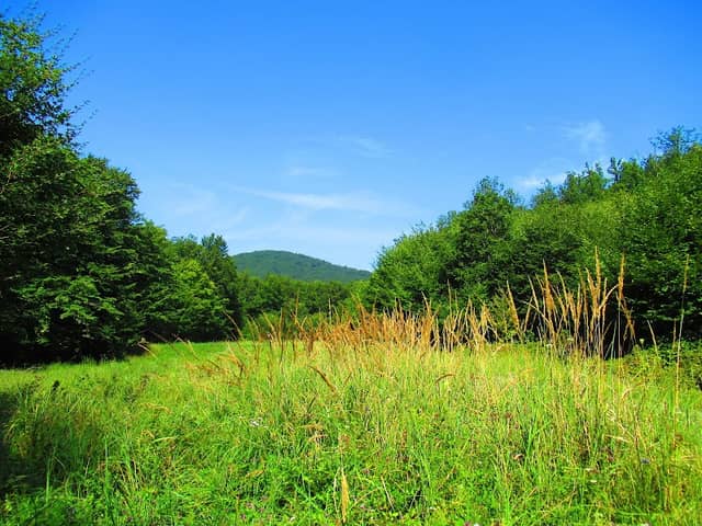 Straz - Image 1