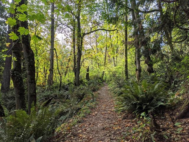 Clarks Creek Park North - Image 3