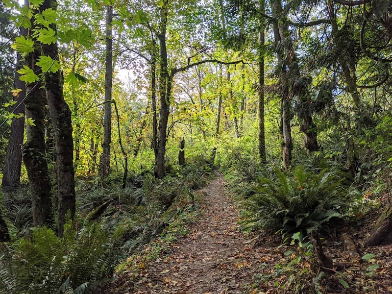 Clarks Creek Park North - Image 3
