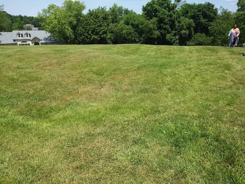 Alligator Mound - Image 2
