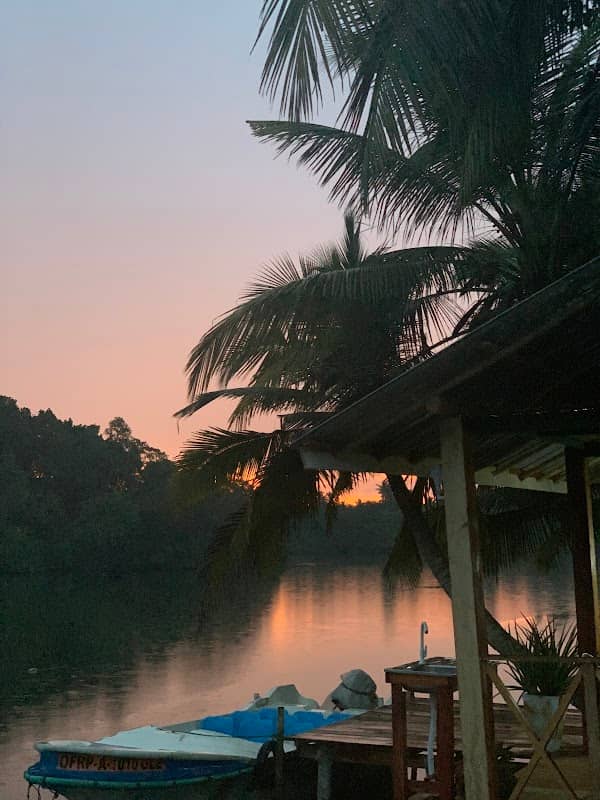 Wild lagoon safari - Image 1