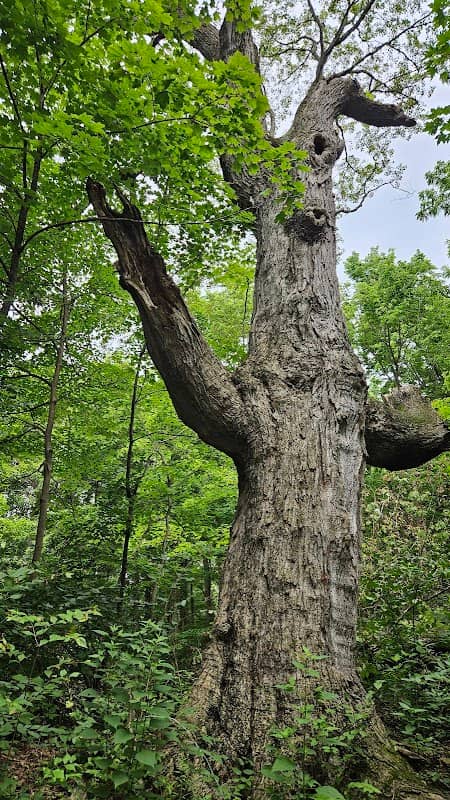 Fox Run Park - Image 2