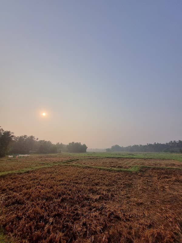 Paravanthatta Paddy Field View Point - Image 1