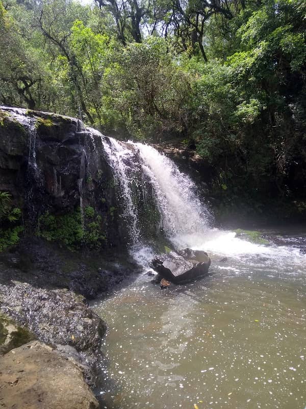 Cachoeira, linha cachoeirinha - Image 1