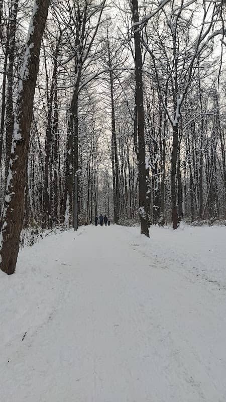Besedki Dlya Shashlyka I Otdykha - Image 1