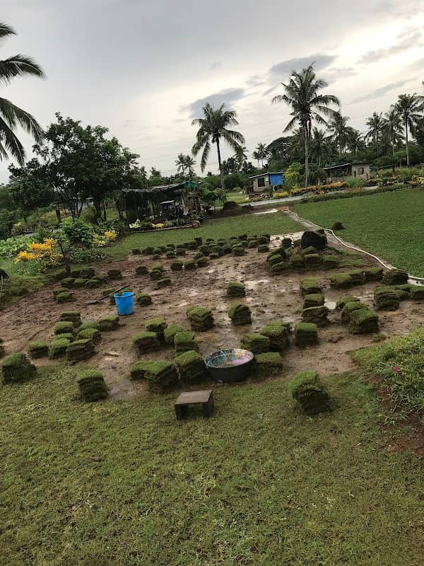 MJ GARDEN - Image 1