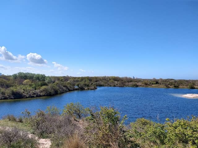 Meijendel - Image 3