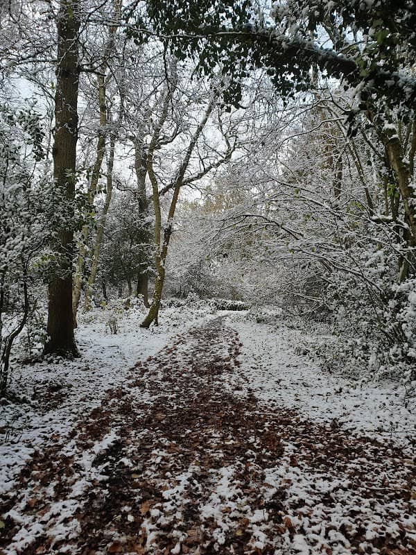 Parking for Tile Hill Wood Nature Reserve - Image 2