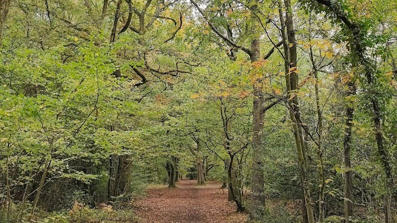 Parking for Tile Hill Wood Nature Reserve - Image 1