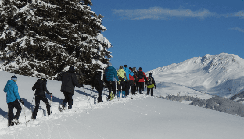 WanderführerTirol - Image 2