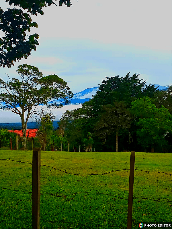 Pseudopuma farm and forest guru nature tours - Image 1