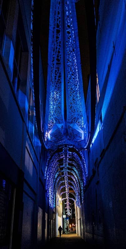 Passage de la Baleine - Image 3