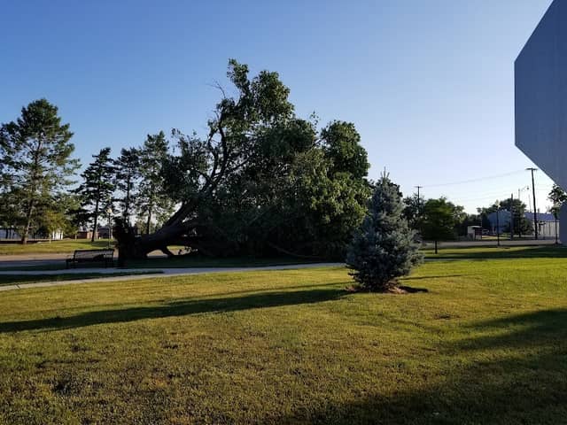 Rotary Park (formerly Darius Miller Park) - Image 1