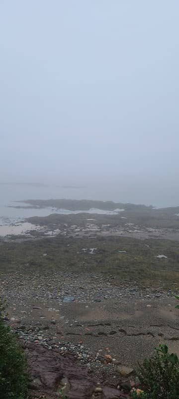 Seal rocks view - Image 1