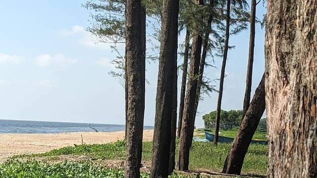Mini Goa Chavakkad - Image 1