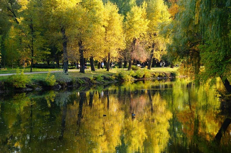 Dubovyy Hay - Image 1