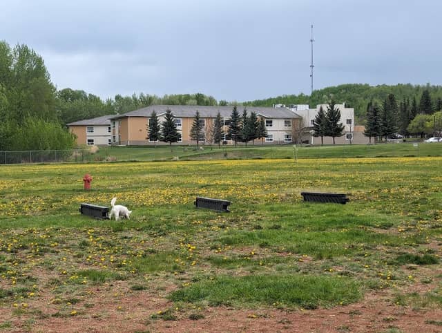 Athabasca Off Leash Dog Park - Image 2