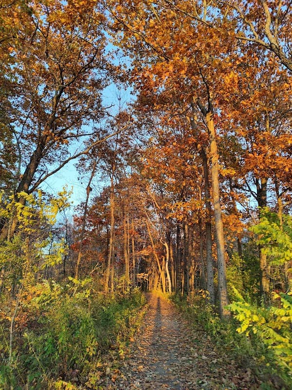 Rotary Centennial/Peter Garrett Trail Trailhead - Image 1