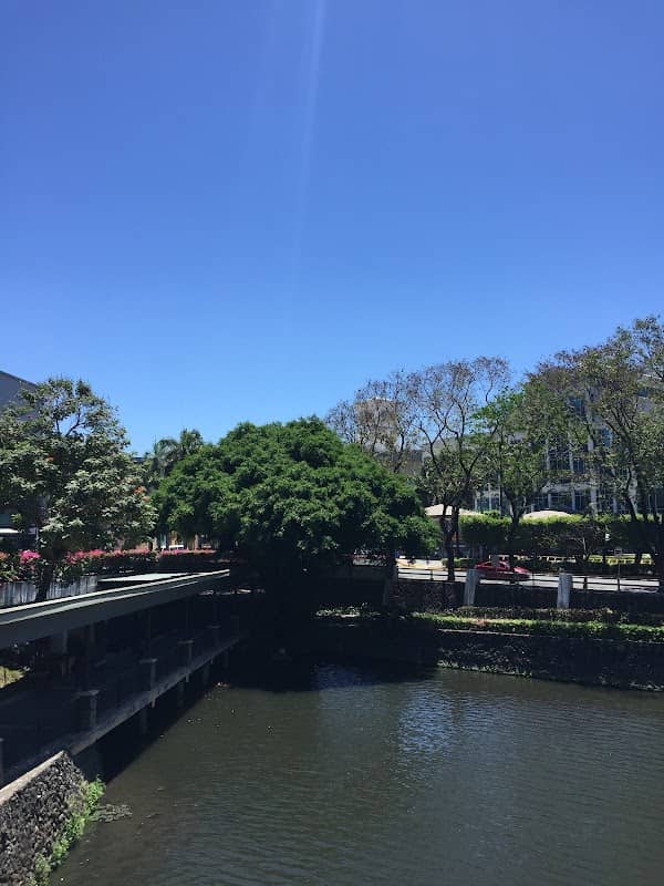 Festival Walk - Image 2