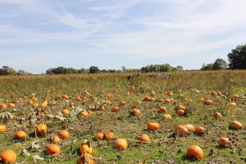 Fick Farms - Image 1