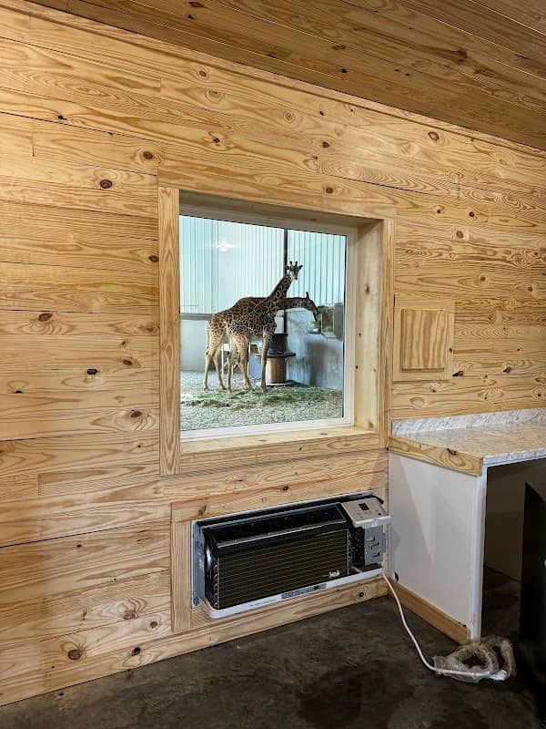 Giraffe Inn & Safari - Image 1