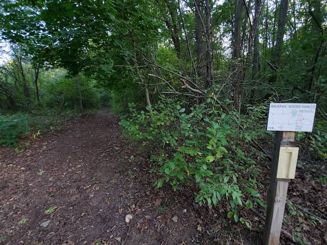 Trailhead #10 - Image 1