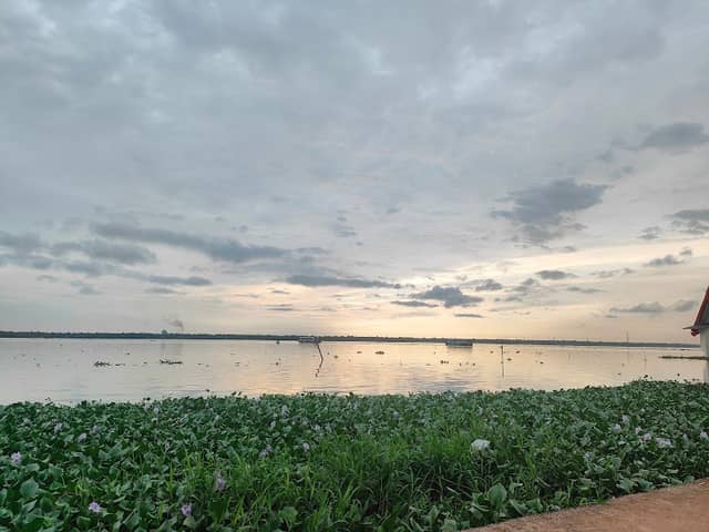 Vaikom Lake (വൈക്കം കായൽ) - Image 1