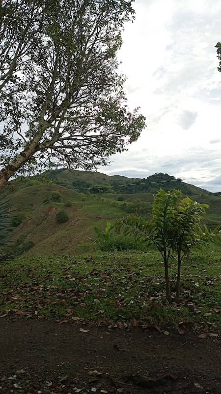 Alto de las Antenas - Image 1