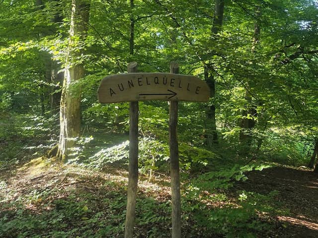 Aunelquelle - Image 1