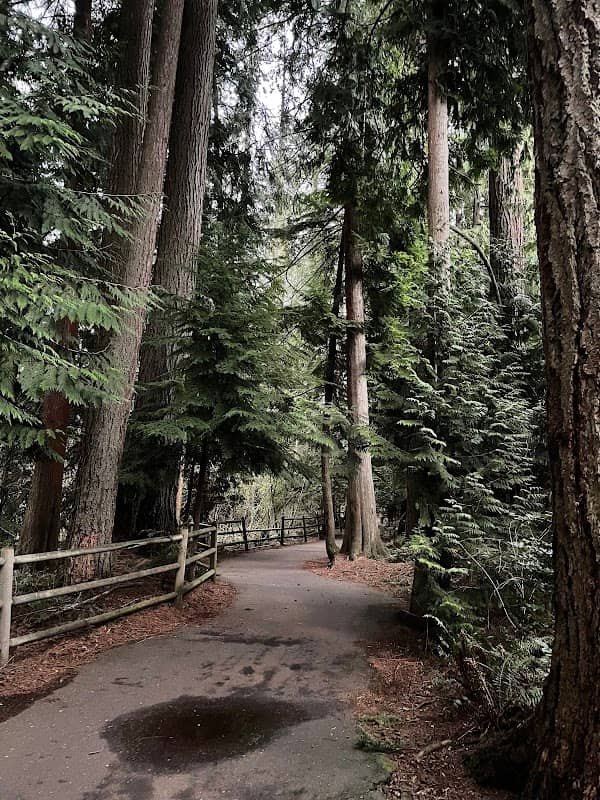 North Creek Trail - Image 2