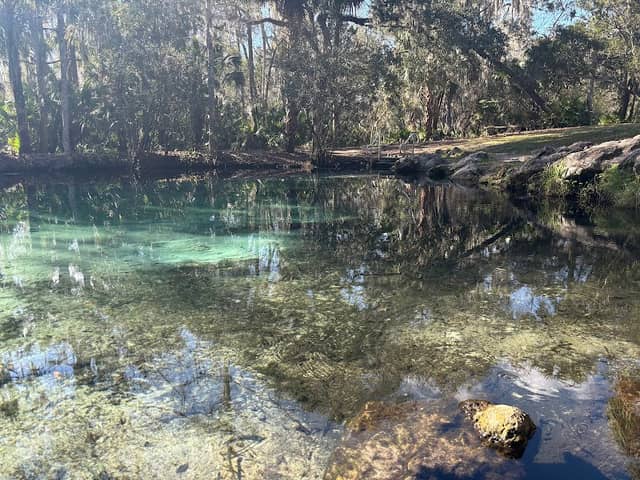 Welaka State Forest Sulphur Spring - Image 2